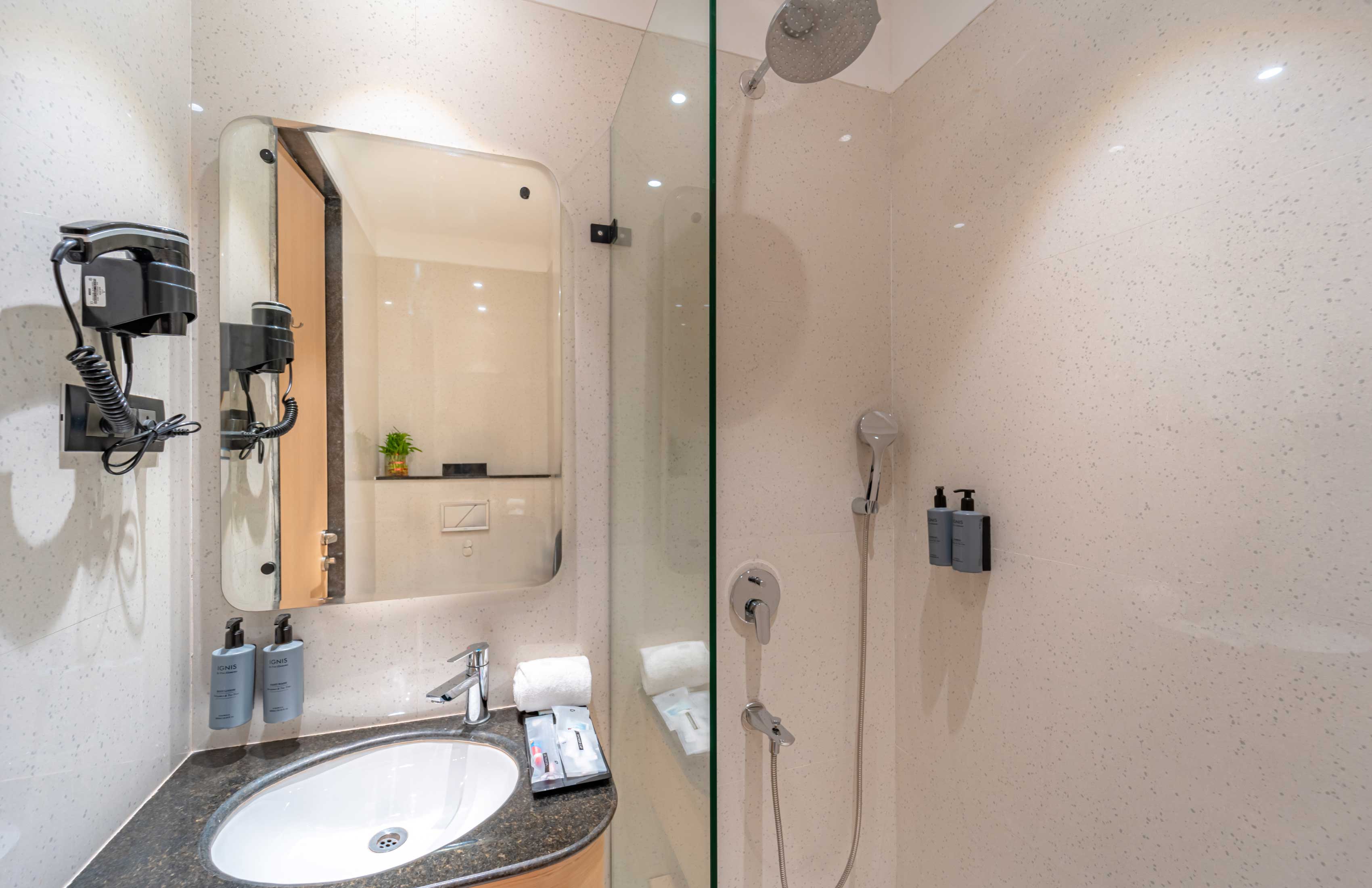 SCARLET Deluxe Room shower bathroom